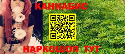 индика Гай