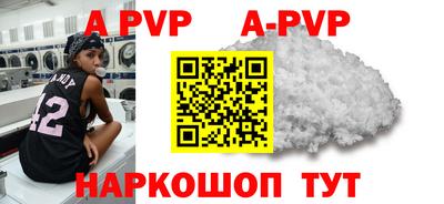 индика Гай