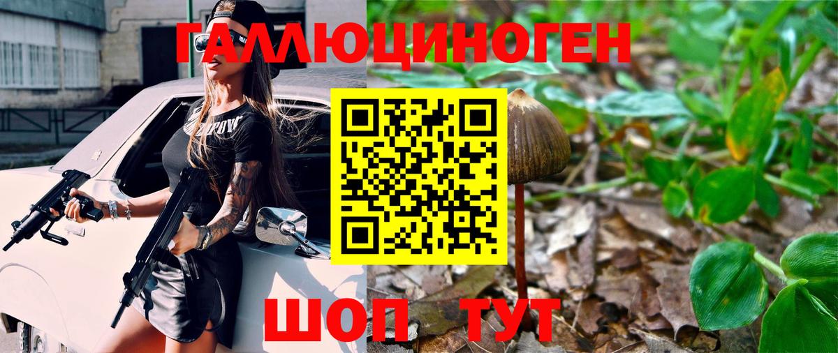 Псилоцибиновые грибы Psilocybine cubensis Нурлат