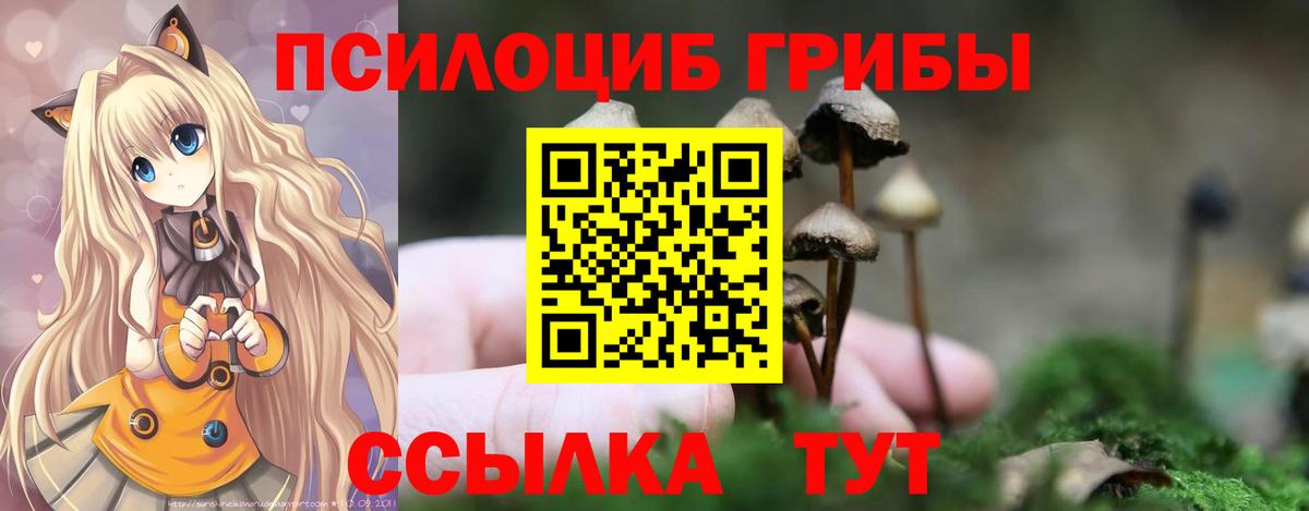 Нурлат  Галлюциногенные грибы ЛСД  Вход с VPN  как найти закладки  Псилоцибиновые грибы Psilocybine cubensis 